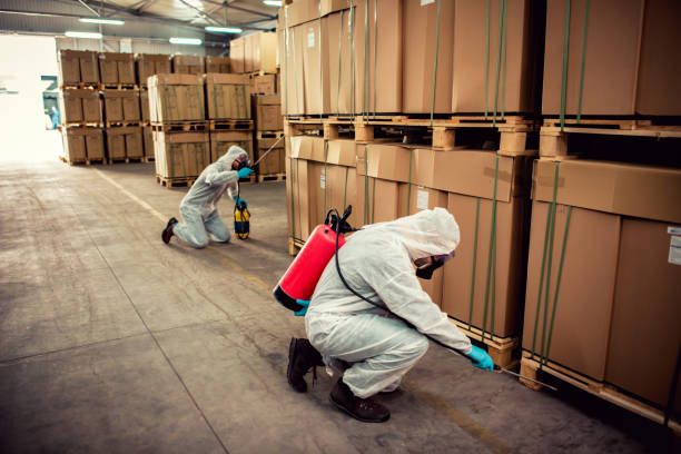 Trusted Westway, TX Pest Control Experts