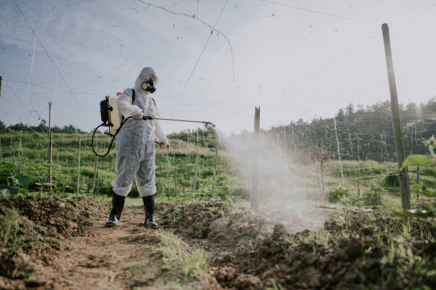 Best Mosquito Control Services  in Westway, TX