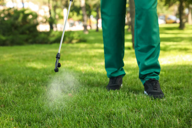Best Wildlife Control Services  in Westway, TX
