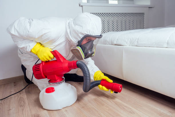 Best Local Pest Control Services  in Westway, TX