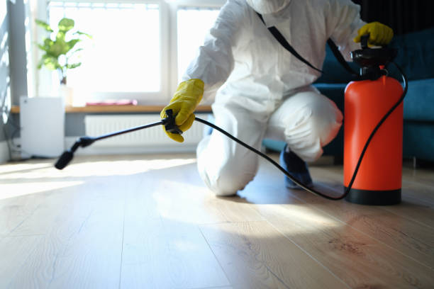 Best Local Pest Control Services  in Westway, TX