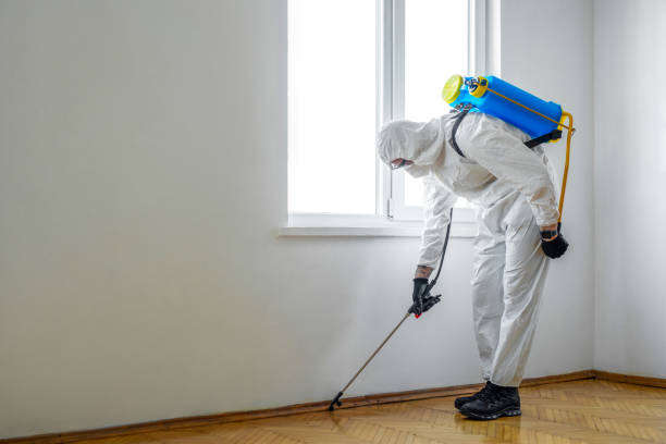 Reliable Westway, TX Pest Control Solutions