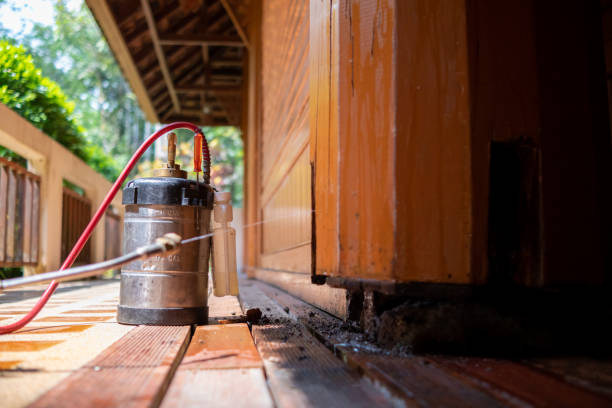 Best Pest Prevention Services  in Westway, TX