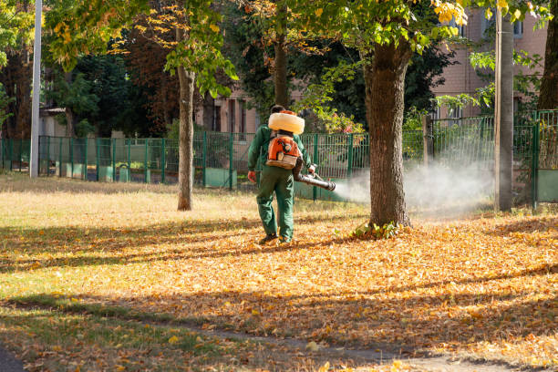 Best Pest Control Near Me  in Westway, TX